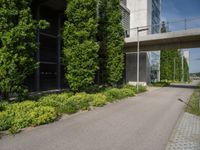 a paved walkway leads to a tall concrete building with large windows and trees behind it