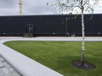a tree with three small green trunks in front of an industrial building with black walls and grey stairs