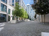 two courtyards, in the middle of the city are very neat, but have little trees and bushes