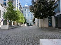 two courtyards, in the middle of the city are very neat, but have little trees and bushes