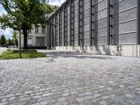 street view of a building with some trees near by it in an urban area next to buildings with lots of glass and stone