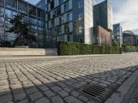 a paved sidewalk between tall buildings near a road curb that is surrounded by trees and bushes