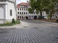 Germany's Urban Walkways: Tree-Lined Streets