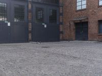 Urban Warehouse Cobblestone Courtyard in Germany