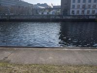 Germany's Urban Water: Reflections and Serenity