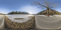 a spherical view of an empty road in the snow and mountains in the distance with a bare tree