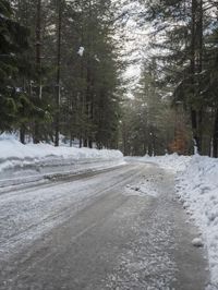 Winter Landscape in Germany: Snow-Covered Forest