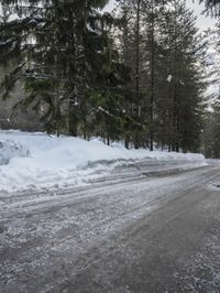 Winter Landscape in Germany: Snow-Covered Forest