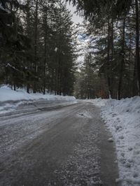 Winter Landscape in Germany: Snow-Covered Forest