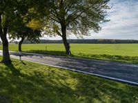 two trees in a green field next to the road and grass fields along side them