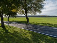 two trees in a green field next to the road and grass fields along side them