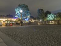 a person is standing on an empty brick walkway by the tv tower and trees with lights