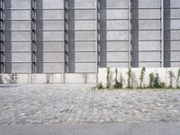 an image of a large industrial building with a brick ground, door and walls in the back