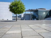 some building that is very big and nice in the day time and someone standing there is a tree