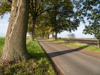 Germany's Road with Nature, Trees, Autumn - 001