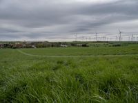 a green field with two small roads running across it and wind turbines behind the grass