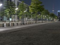 there is a large tree lined sidewalk with some benches on it next to a sidewalk light