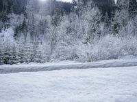 Germany's Snowy Roads: Blanketed by Blizzard