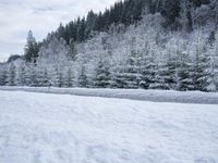 Germany's Snowy Roads: Blanketed by Blizzard