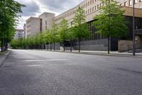 empty city street, green trees in the foreground and tall buildings on either side