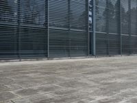 Germany's Urban Architecture: Glass Walls and Modern Design