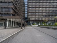 the buildings in this photo are glassy and are grey with metal accents and some plants