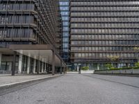 the buildings in this photo are glassy and are grey with metal accents and some plants