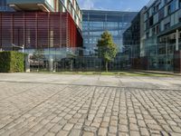 a brick driveway leading to a large glass building with windows on either side of it