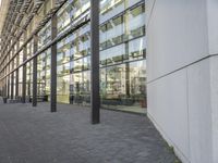 the building has glass walls and a sidewalk with green grass in it outside of it