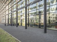 the building has glass walls and a sidewalk with green grass in it outside of it