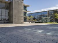 a building with glass walls and a sidewalk in front of it in sunny weather outside