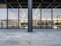 the large floor area is glass with windows looking out onto the courtyard and the trees