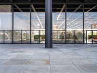 the large floor area is glass with windows looking out onto the courtyard and the trees