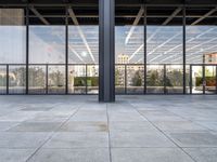 the large floor area is glass with windows looking out onto the courtyard and the trees