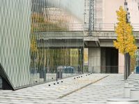 Glass Facade of a Building in Berlin