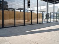 an empty sidewalk between two large windows that have glass panels on them to provide privacy