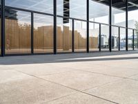 an empty sidewalk between two large windows that have glass panels on them to provide privacy