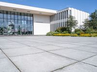 a large courtyard with some windows and yellow flowers in the grass near it and a white building