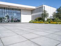 a large courtyard with some windows and yellow flowers in the grass near it and a white building