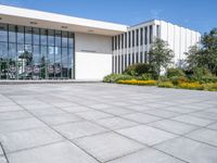 a large courtyard with some windows and yellow flowers in the grass near it and a white building