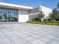 a large courtyard with some windows and yellow flowers in the grass near it and a white building