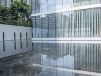 Glass-Walled Building with City Reflection