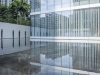 Glass-Walled Building with City Reflection