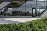 the rear of an office building with plants in front of it and a clock at the entrance