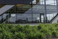 the rear of an office building with plants in front of it and a clock at the entrance