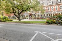 Gloomy Autumn Day in Toronto's Suburban Neighborhood