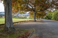 a paved area has many trees in autumn, as well as the fence along it