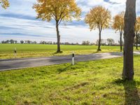 two people on bikes are riding through the park in autumn leaves, and the road is empty