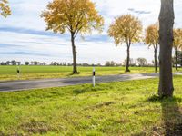 two people on bikes are riding through the park in autumn leaves, and the road is empty