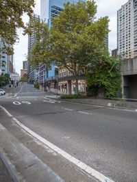 the empty roadway that has trees and a sky scraper on it to the side